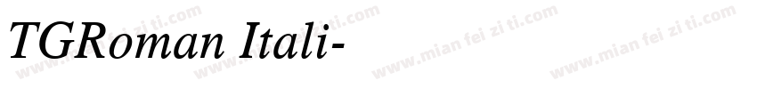 TGRoman Itali字体转换